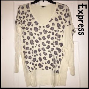 Express Cheetah Print Sweater